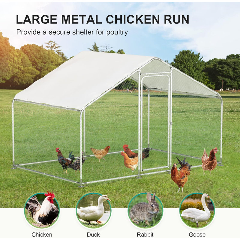 Dobson Weather Resistant Small hot Animal Cage